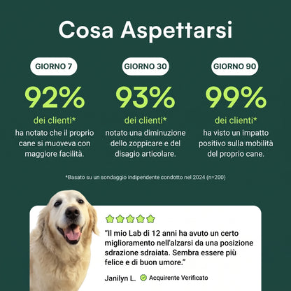 Revifix™ - Integratore per ossa e articolazioni per cani