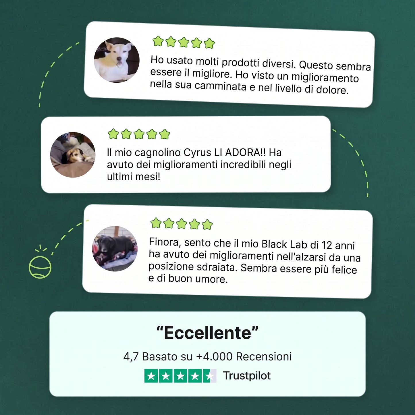 Revifix™ - Integratore per ossa e articolazioni per cani
