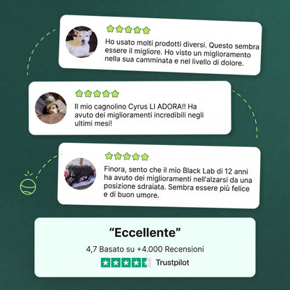 Revifix™ - Integratore per ossa e articolazioni per cani