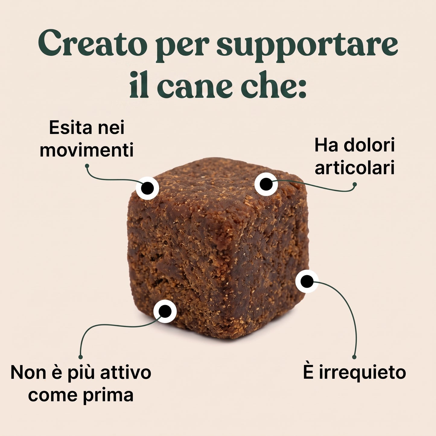 Revifix™ - Integratore per ossa e articolazioni per cani
