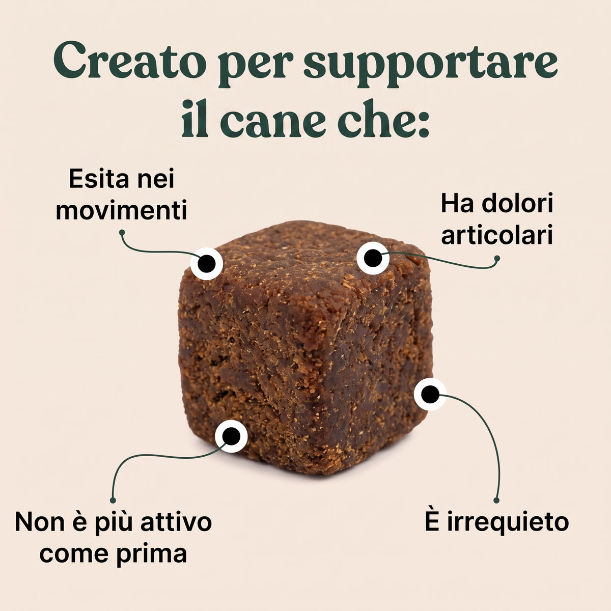 Revifix™ - Integratore per ossa e articolazioni per cani