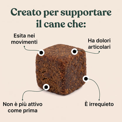 Revifix™ - Integratore per ossa e articolazioni per cani