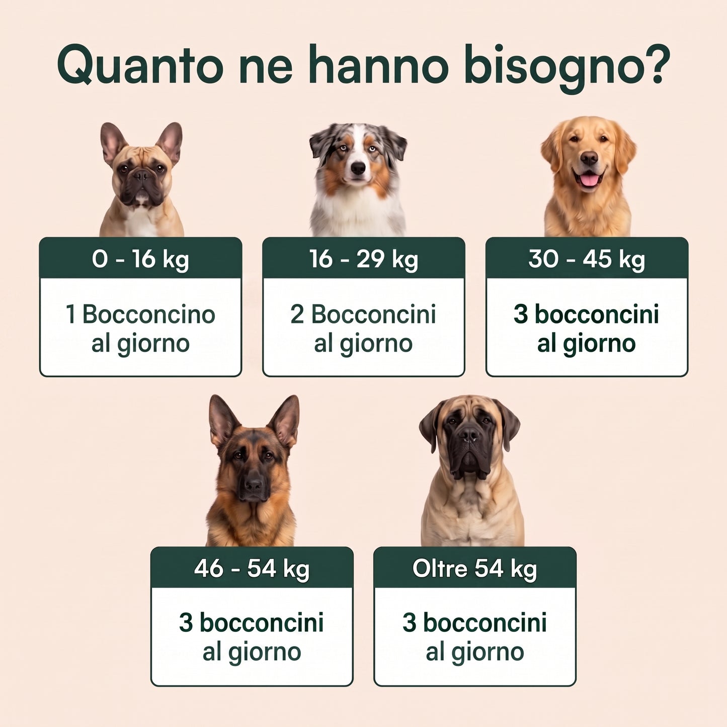 Revifix™ - Integratore per ossa e articolazioni per cani