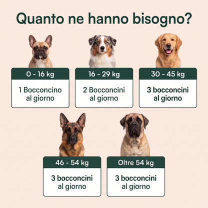 Revifix™ - Integratore per ossa e articolazioni per cani