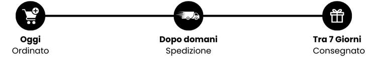 Informazioni sulla consegna